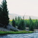 Illustration for article titled Photodump: Yellowstone National Park